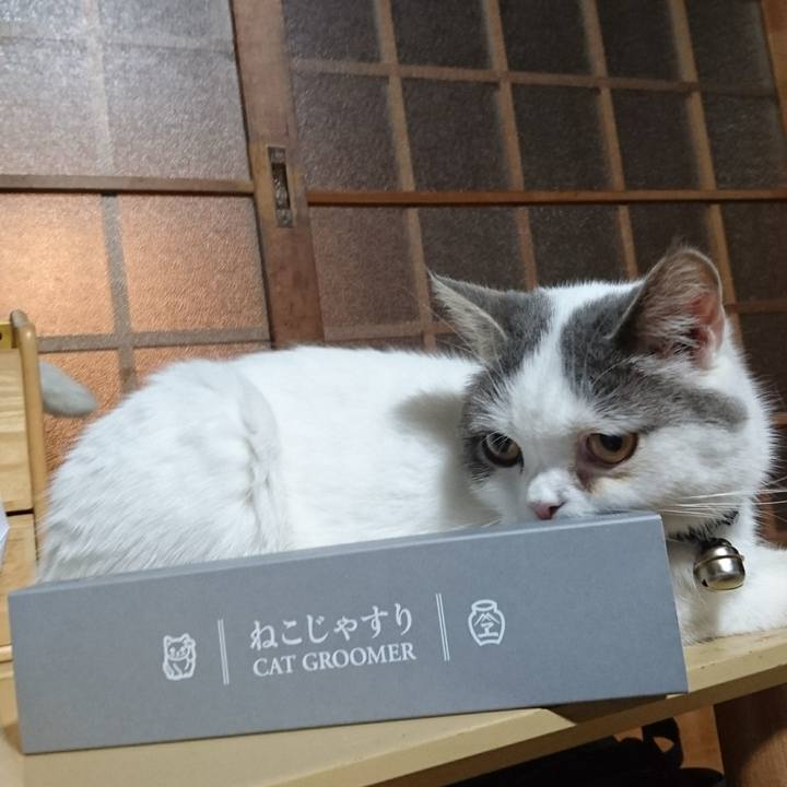 65585ea9 96b4 4a88 a36f 885b14162462 1563018167396