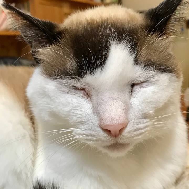 6558b329 556d 4d86 a972 112b5bc0b714 1586602814906