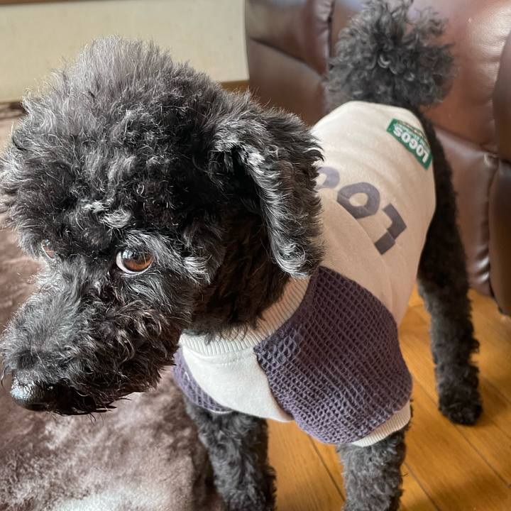 6558d2be e726 40e3 807f bd6dc3a9edc9 1700871455201