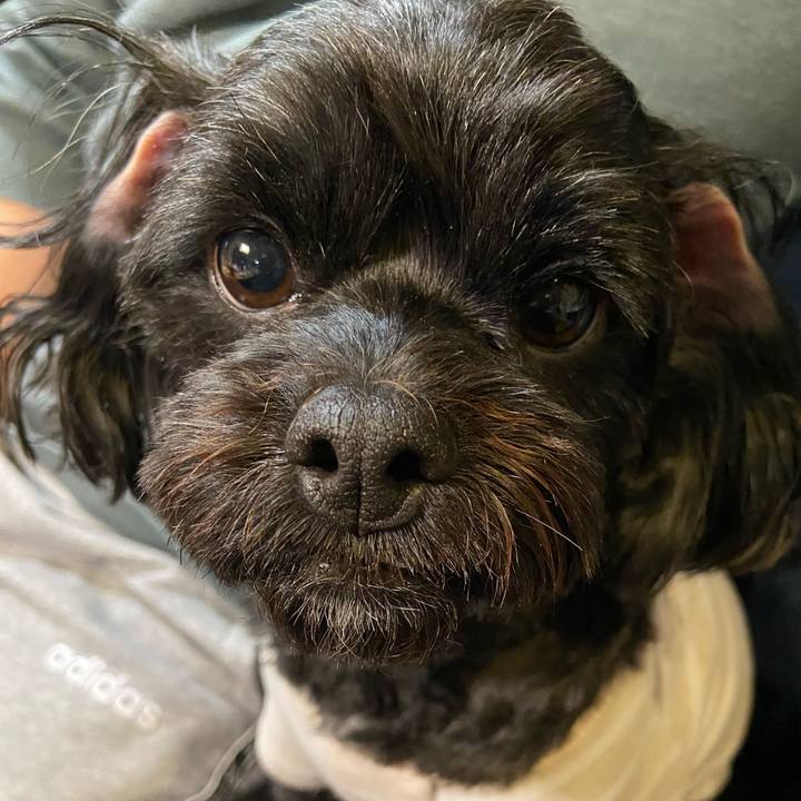 65590ed1 430c 44a9 abed b33d61c70e5f 1617801256847