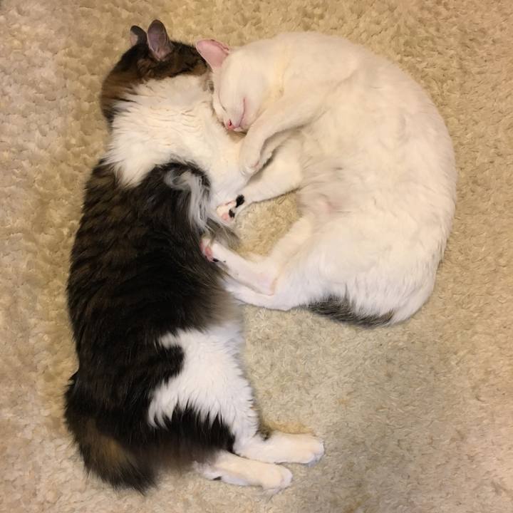 655941f3 b10d 4611 87d9 a8eab86022a5 1516868192589