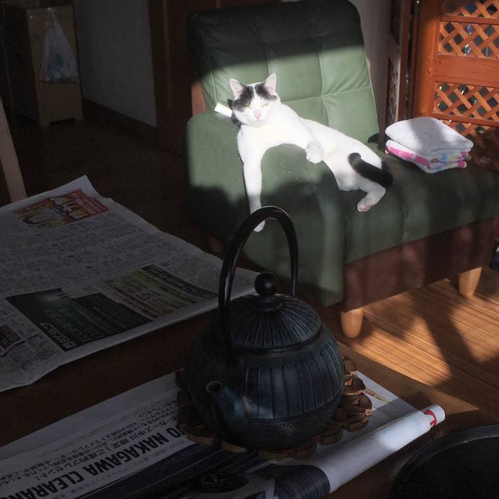 65594ab4 89e0 4354 963f 66d77ba7cb59 1518773256637