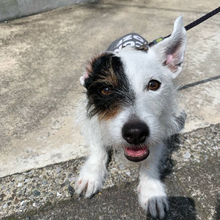 655994d4 38d8 492a adb1 9d0cfed5a4dd 1653526414701