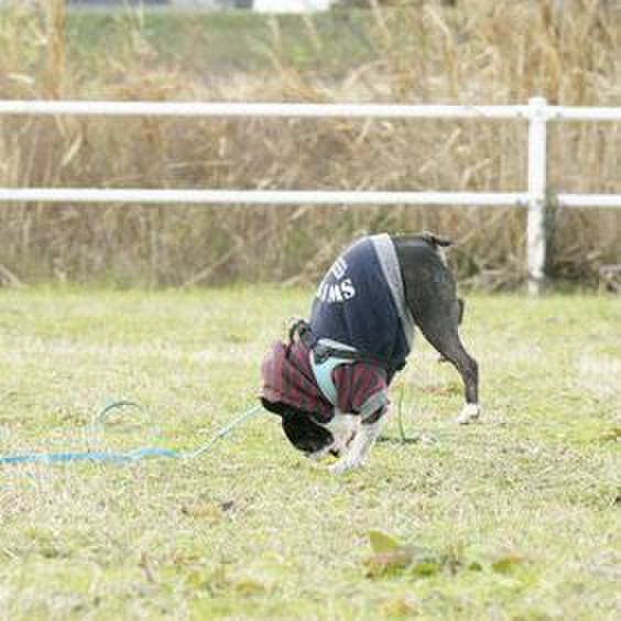 655995f2 eef1 4eff 909c d50829f66304 1577950820847