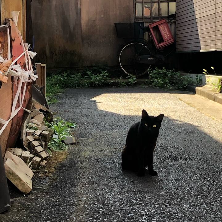 6559a0f1 20b1 48e7 a316 fc41f401f23a 1599976268369