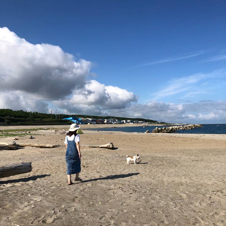 6559b092 964d 4af0 b905 85e68475f060 1595113229312