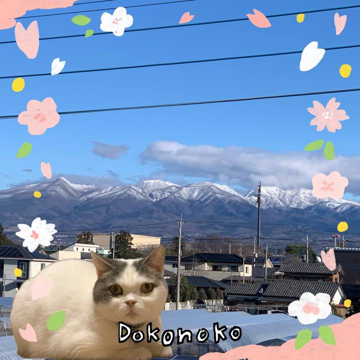 6559b60c 3878 4cdf 8660 892d43494ae0 1711507124441