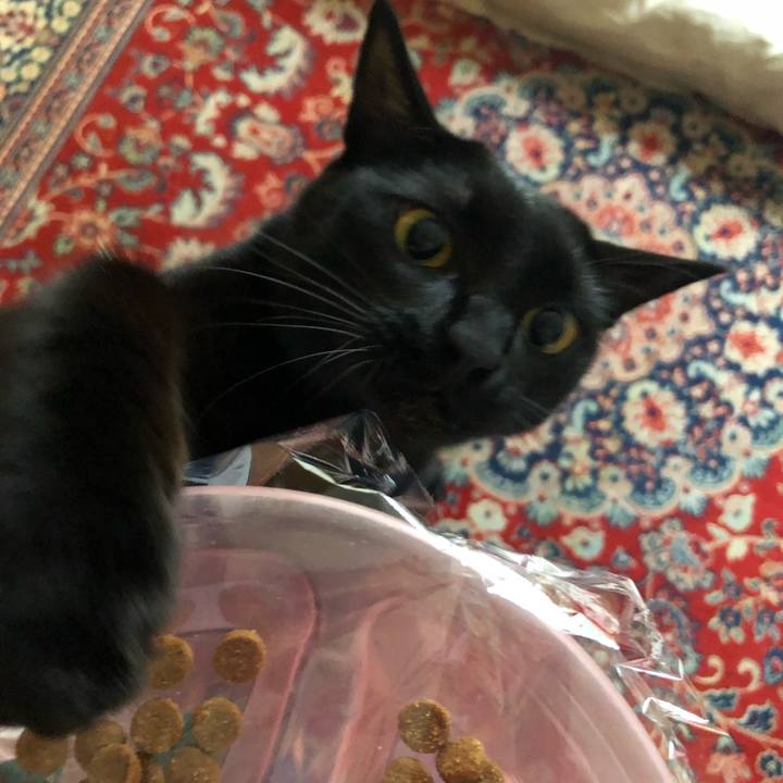 6559d7a7 3fef 4fce adb7 f914e3da8676 1532046004781