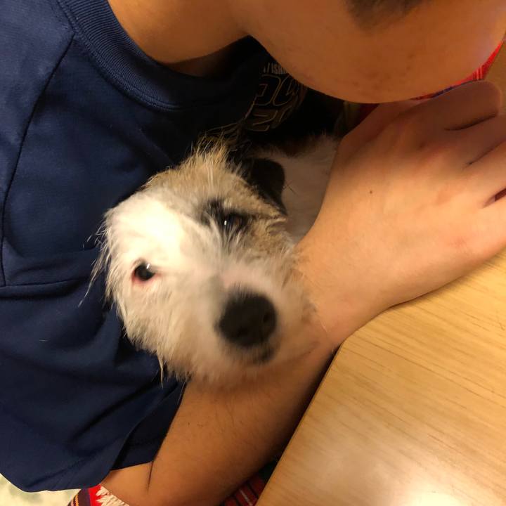 6559e1d3 e41c 4e2e 9383 55da58976cb4 1523879832672