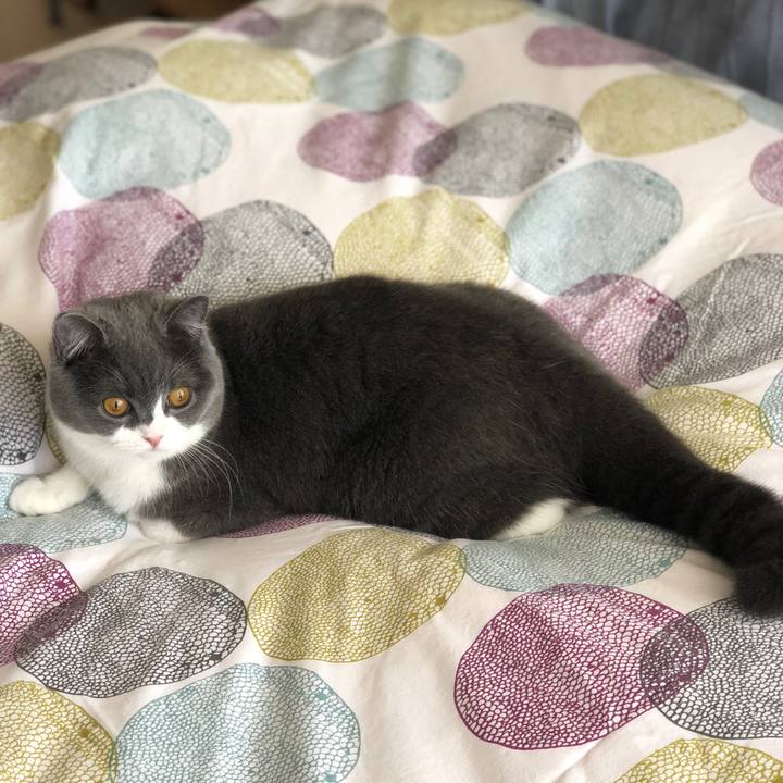 6559e7b8 28f9 4a9c abb7 1128bc2f1665 1526272197421