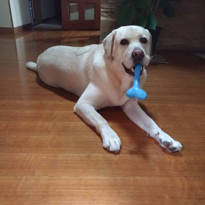 6559ec32 5b3b 402e 8e9c b14bbd1e0c5f 1570865323946