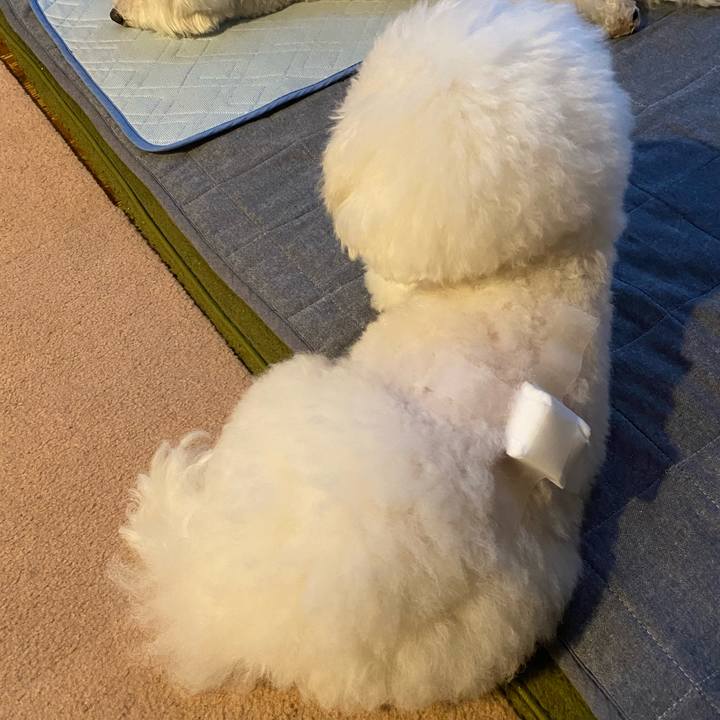 6559fe93 e790 4e1a a9de f7fd28930b5d 1653641953858