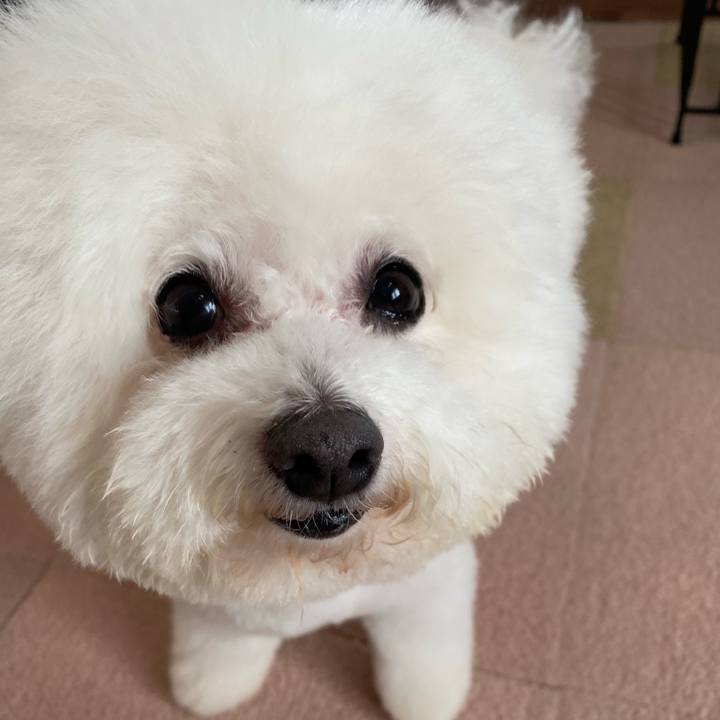 655a4c17 19c9 474d 8020 b9cffa5b3b07 1740461628185