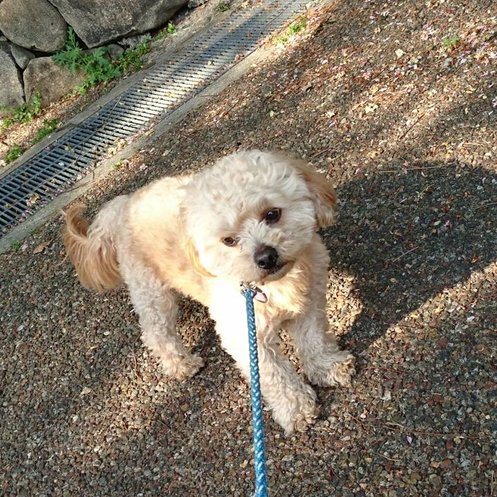 655a6159 50d7 4f72 b91b 957cacbe7ad4 1524389448697