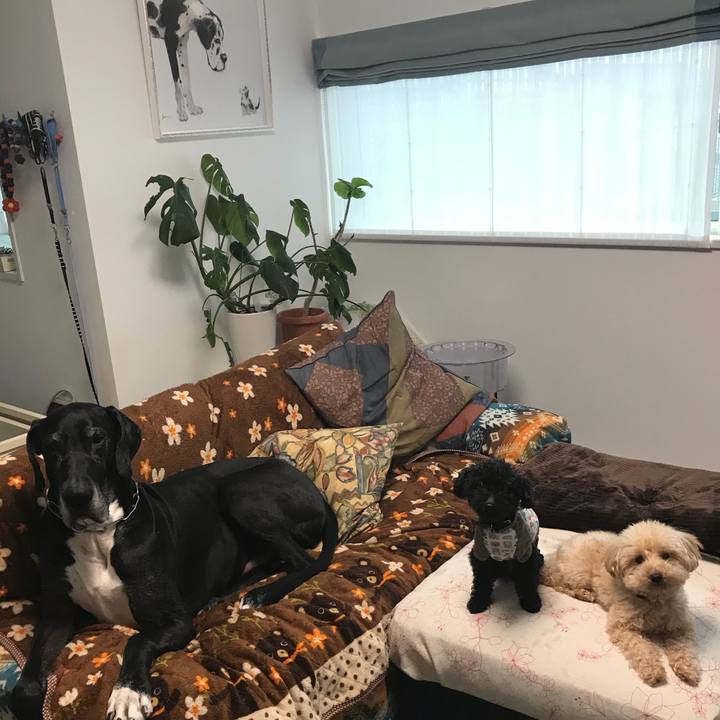 655a67d7 f410 4912 82a1 143a537cea67 1521499566951