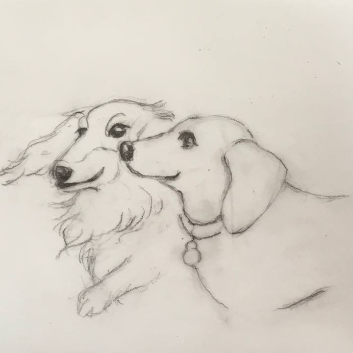 655a6cbe ee06 4491 a834 0098be16e94b 1568266713995