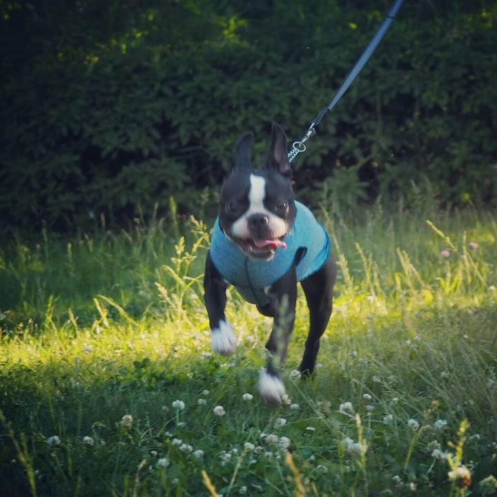 655a75ca a618 4094 ab97 53c4951421ea 1526807552802