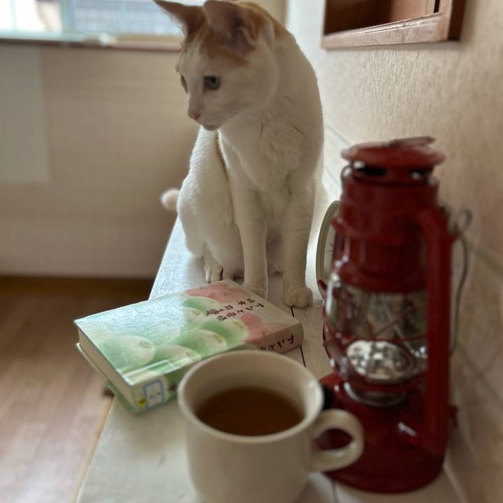 655a87d0 42d1 469d 90e0 e454768fc8df 1687041775351