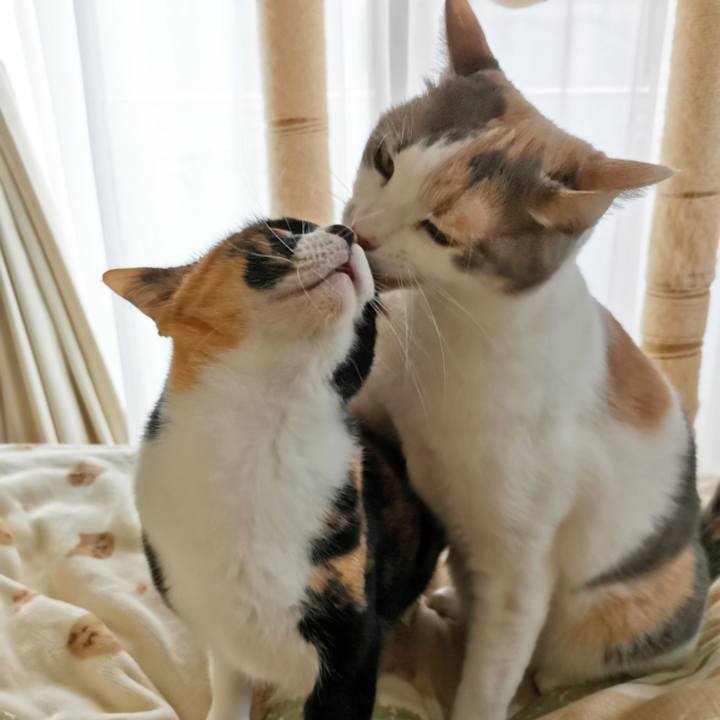 655abb50 0e5c 4e8c 8163 fa5ae0e29bea 1618734726003