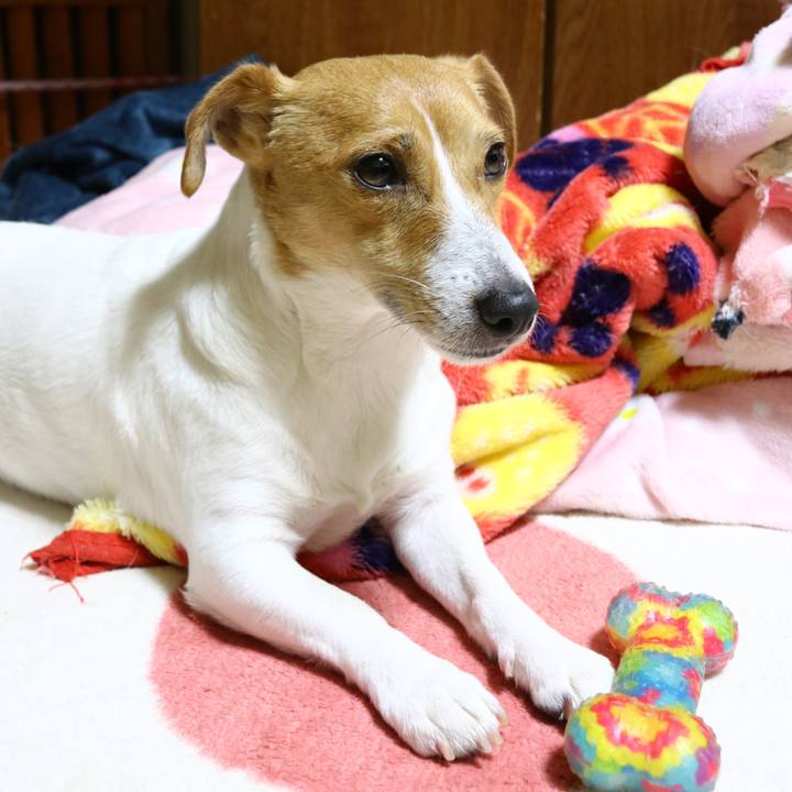 655af8d1 4522 48e0 81b5 249a534c8420 1547211307869