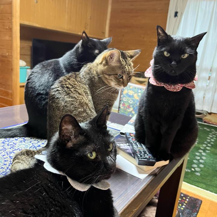 655b368d d46c 4b99 9343 e8920c953087 1719564864264