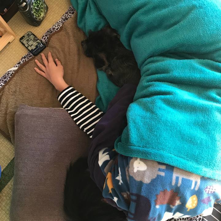 655b484f 9e0b 46af ae45 42f1c25f2726 1546568957667