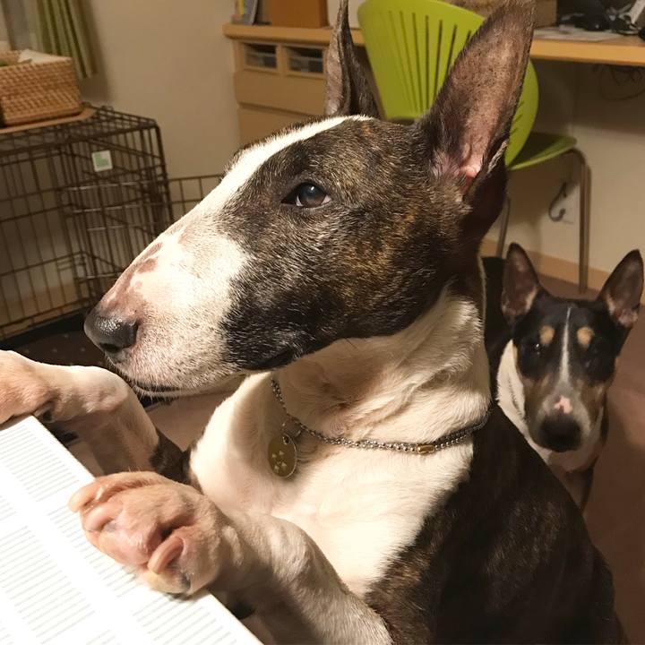 655b6c6a fba1 41f4 96c4 0a001675e9f8 1524834689749