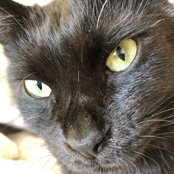 655b7a49 745e 4aed 9c57 cdb460a1c272 1595022949490