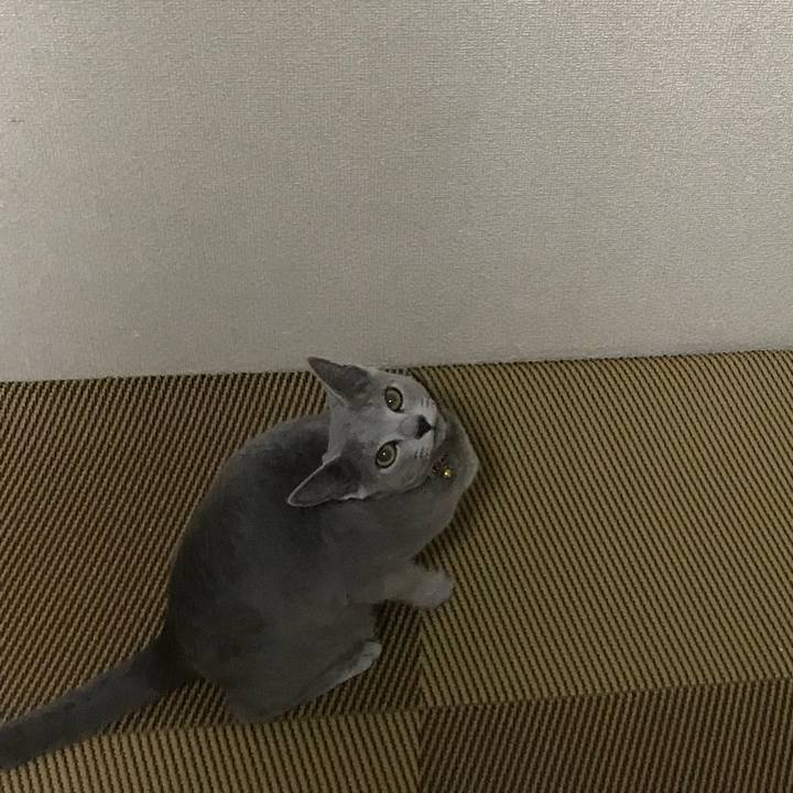 655b7ccc 08fb 42d5 ab72 71c0680efd46 1519657591001