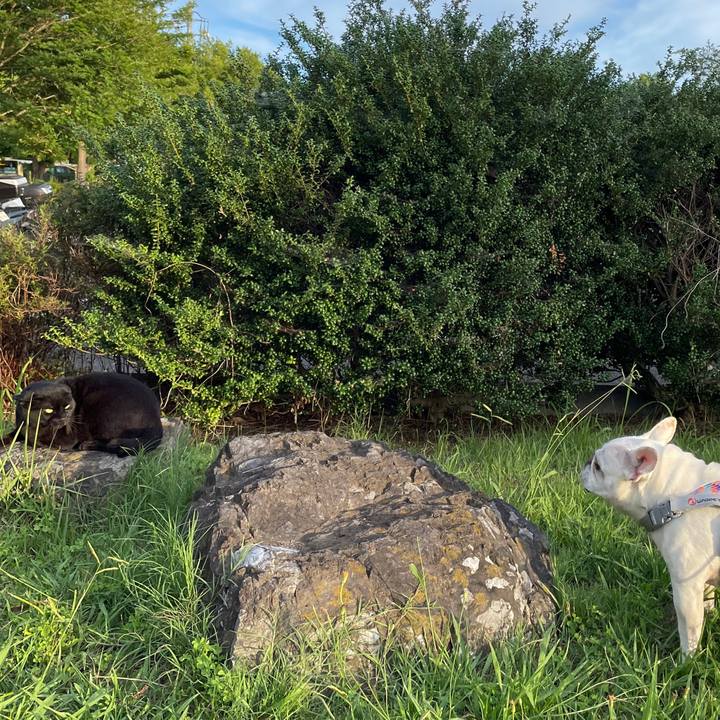 655b7d9b 8592 4854 8f8b 40bcaee5f96e 1752894353322