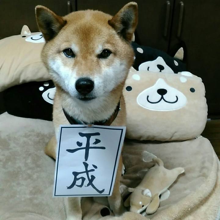 655bab1d e267 4d01 b90f 43951d6f09bc 1556589974928