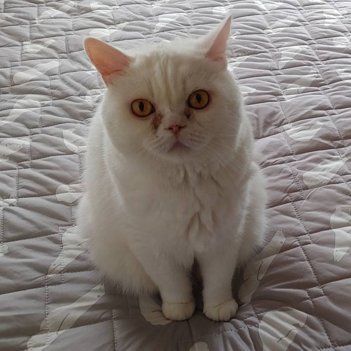 655be348 1605 4327 ad3f a3307035c129 1627687346911