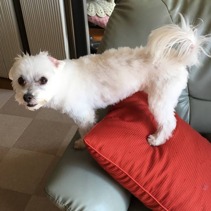 655be506 da89 47bb 9977 4adeb12d611a 1548732699921