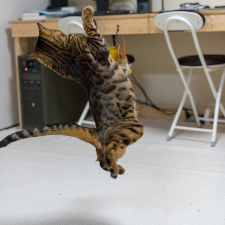 655beeb5 47d8 4c01 9888 0034f180347e 1518961961504