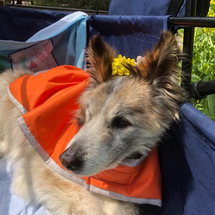 655c2cae b7eb 403c a3b1 3d137e173de5 1554014004416