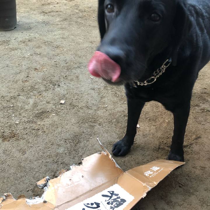 655c2f35 de6c 403f 93c7 499dda900184 1614740587649