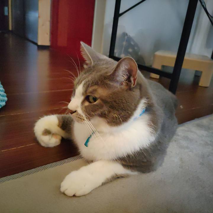 655ceb9c 2059 4207 a0fc 1cdf842ccc0b 1657676782960