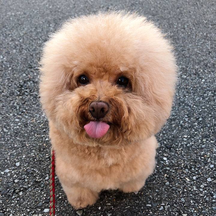 655cef41 7461 4a01 ac31 4cc0b7d232ba 1566812513319