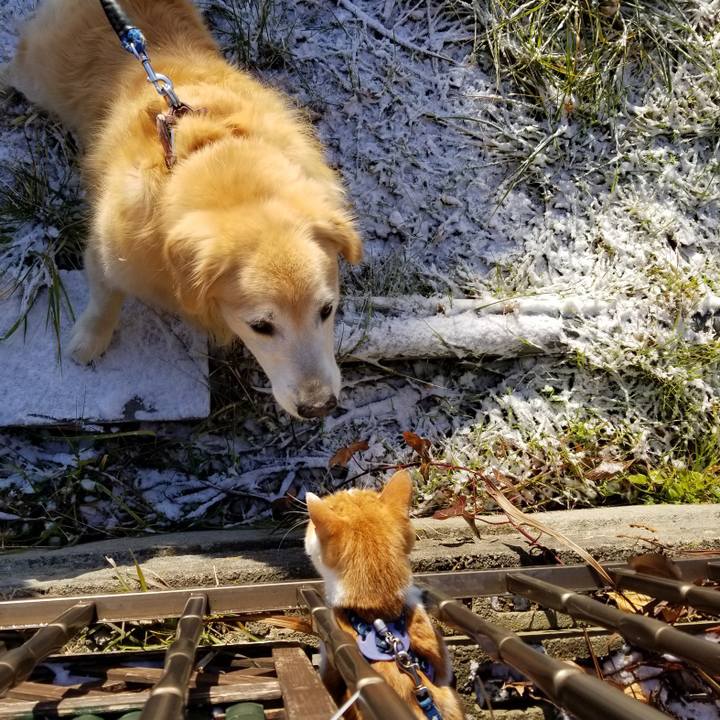 655d090a c9ab 4514 9d54 b4e79fc27ad6 1546247573259