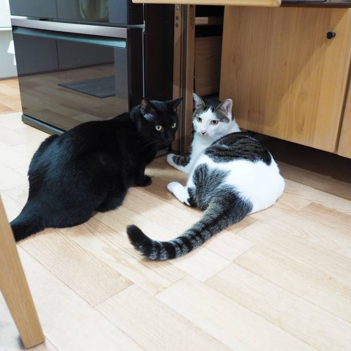 655d19a4 f354 4d0f 8abc 61e07d678df9 1534684582945