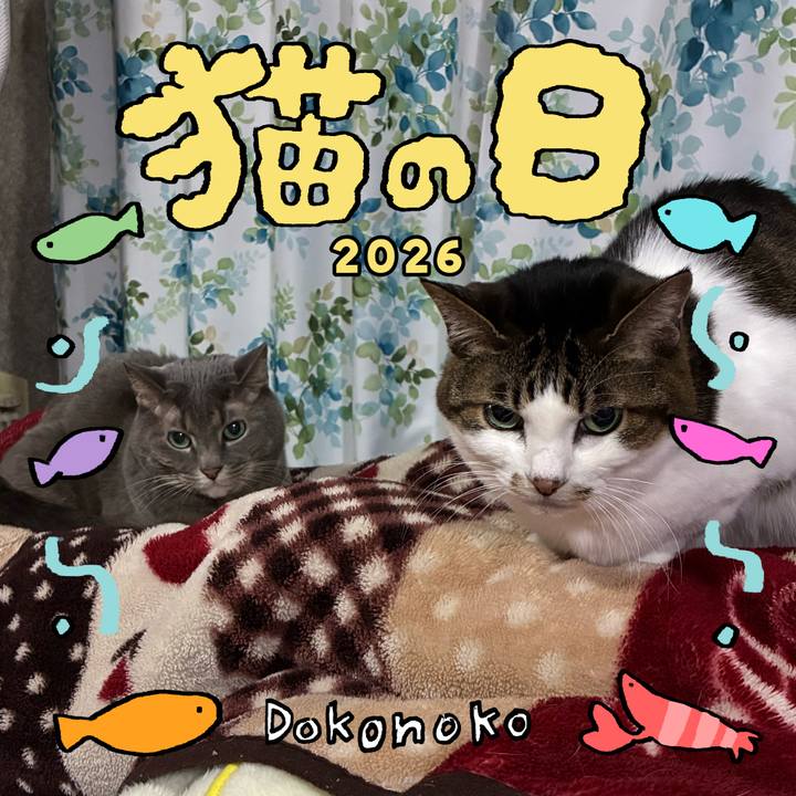 655d44e7 d02b 418a a5bc cc00ec44114e 1771751010413