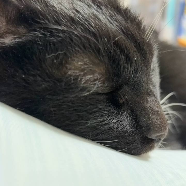 655d4c13 bf57 4b5c ba27 982d5018a7cc 1763209201879