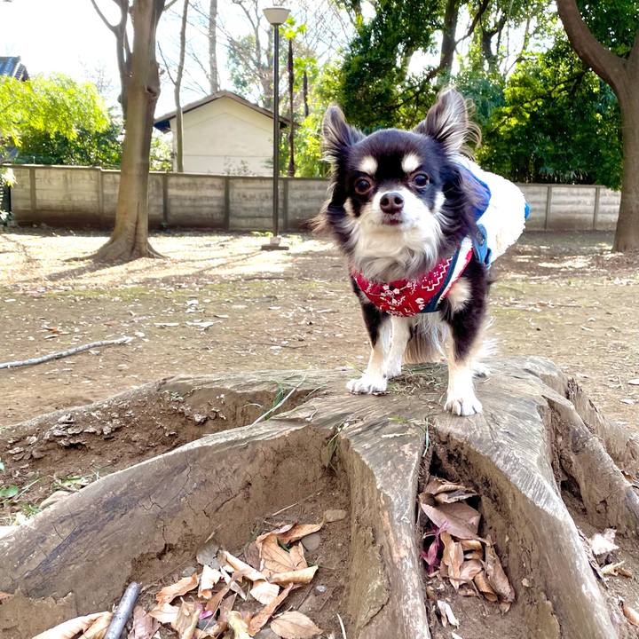 655d571e 5226 433e 99f6 8958bd23d89b 1609759975379