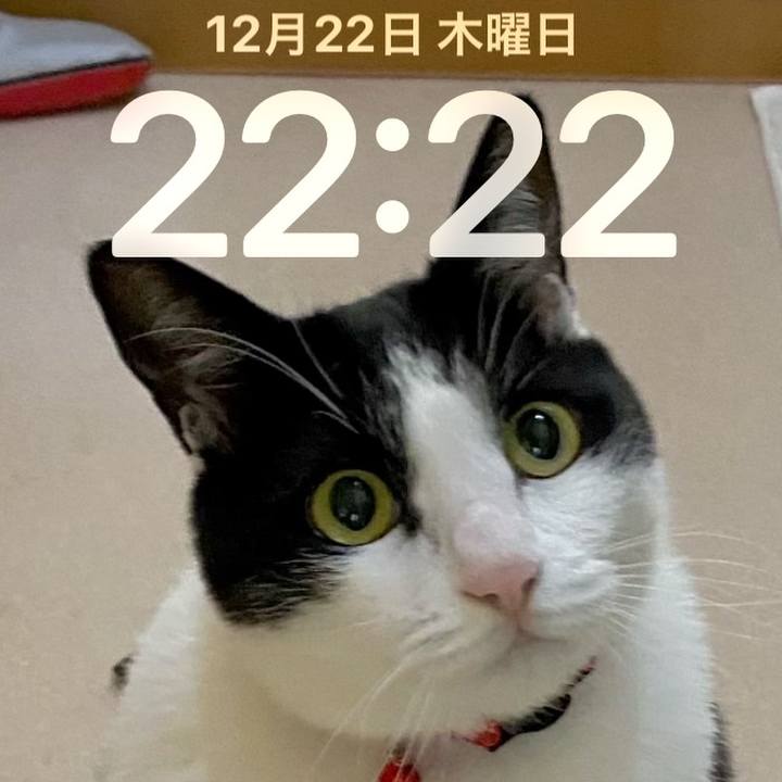 655d64fb c24a 4bfe 9ebb 49bdbbf73804 1671715437777