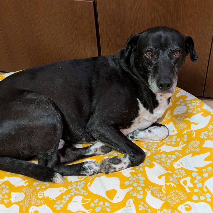 655d6886 ab71 4cb5 bcbd 52e38828289d 1742214969498