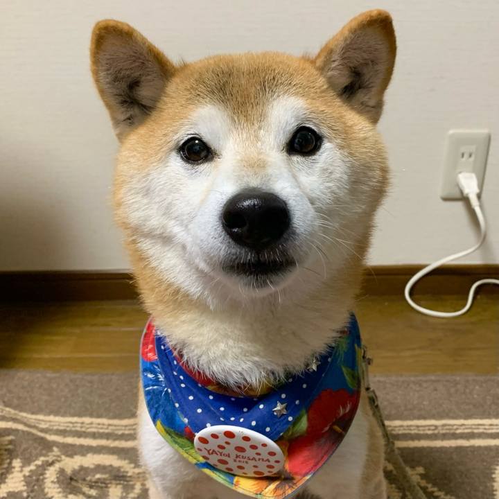 655d710d 8a55 4f1d a9da 1759255fee6e 1639741177032