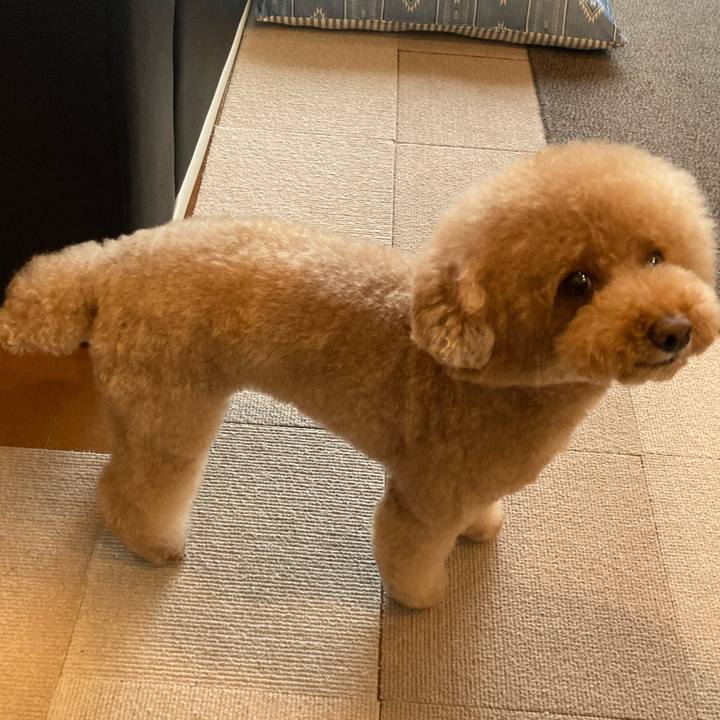 655d89cf cfaf 48bd ae5d ce20f55f97e6 1622043583748