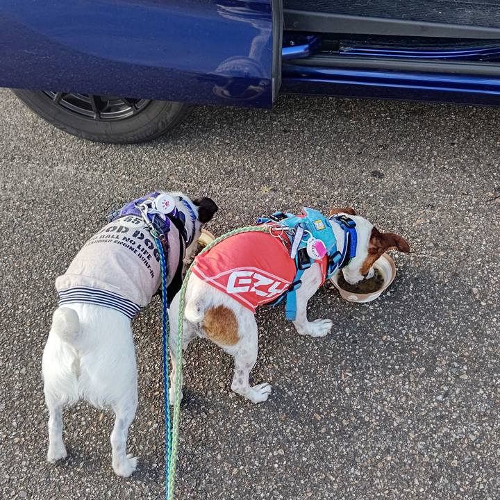 655dad3d eef6 494b 86fa acf7be35806b 1657928557282