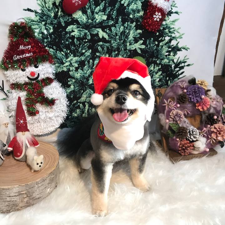 655db68a 6297 4b9b a7ef 4ee6a3860bc0 1545626074582