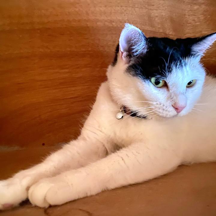 655dc9c2 784a 4071 96a6 9e695151ee5b 1690680656700